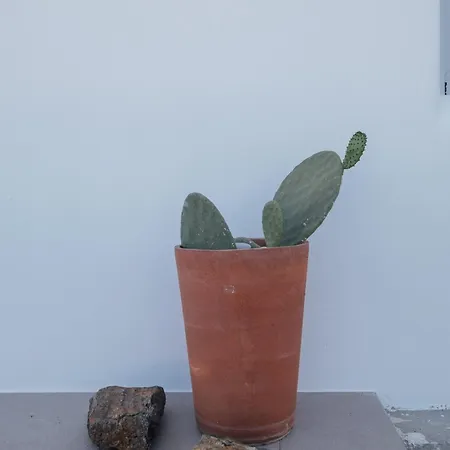 Xerolithos Natural Living אכסניה